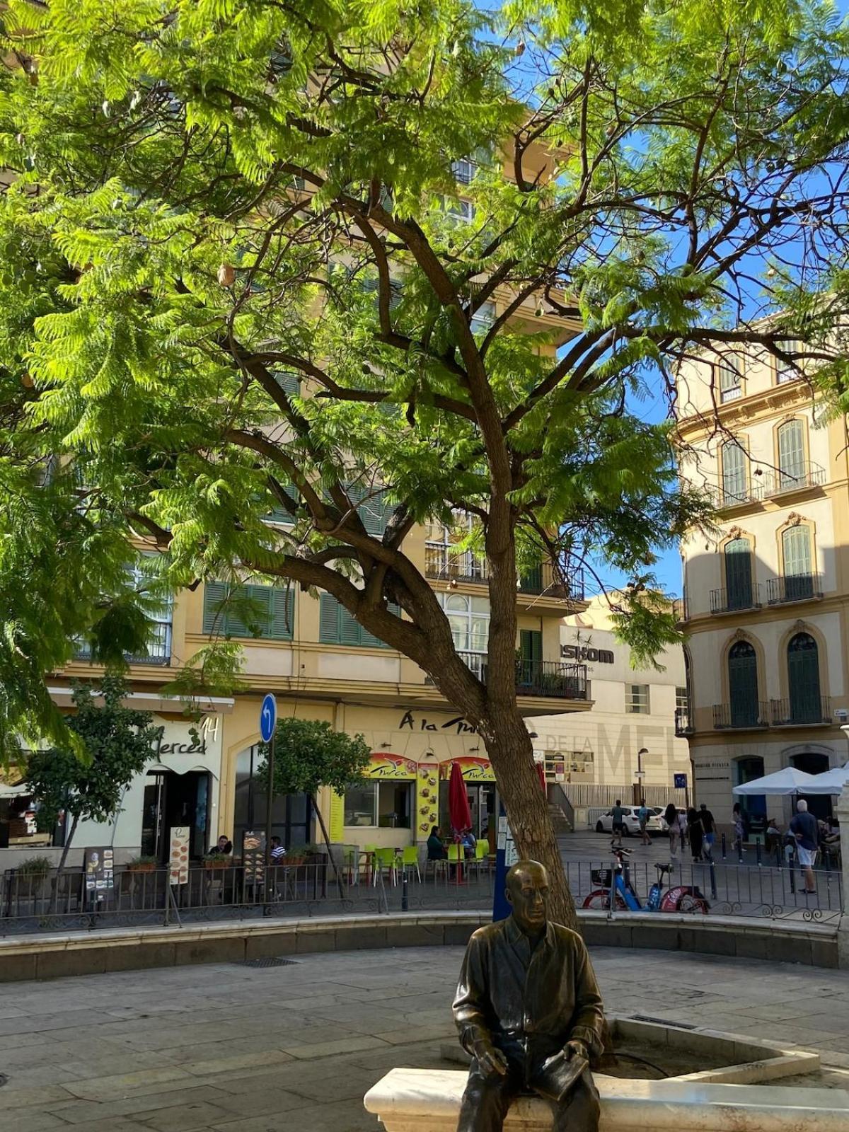 Apartment Amazing Terrace Plaza Merced Malaga